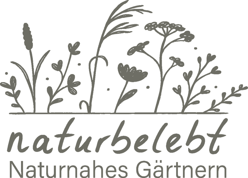 GaLaBauer in Löhne | Gartengestaltung von naturbelebt